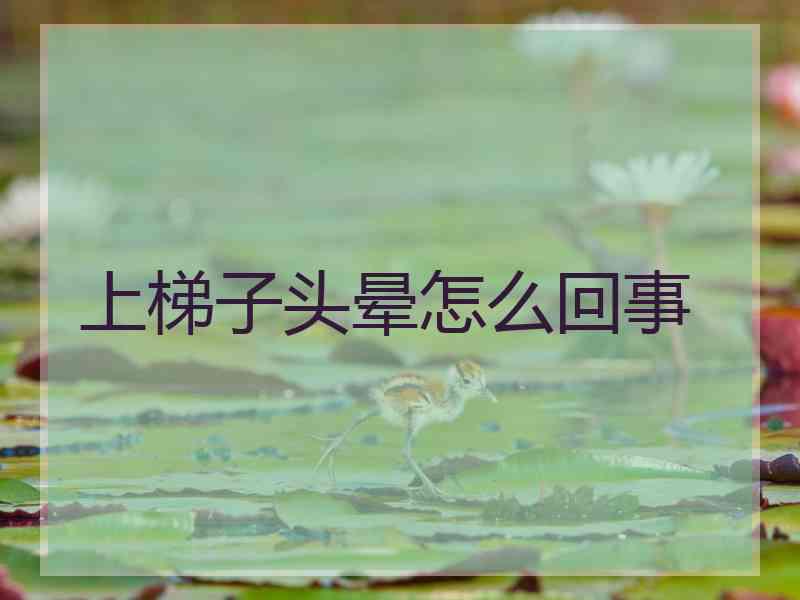 上梯子头晕怎么回事