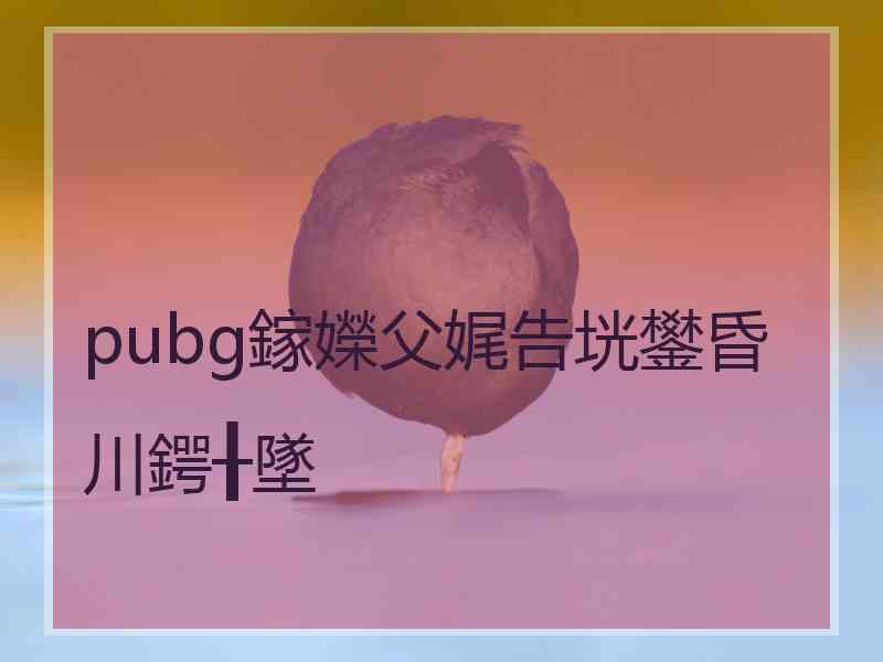 pubg鎵嬫父娓告垙鐢昏川鍔╂墜