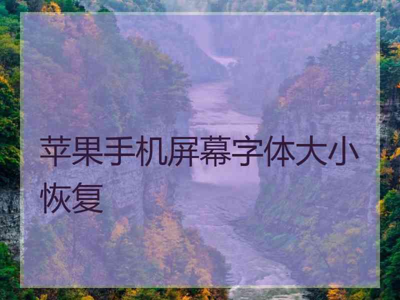 苹果手机屏幕字体大小恢复