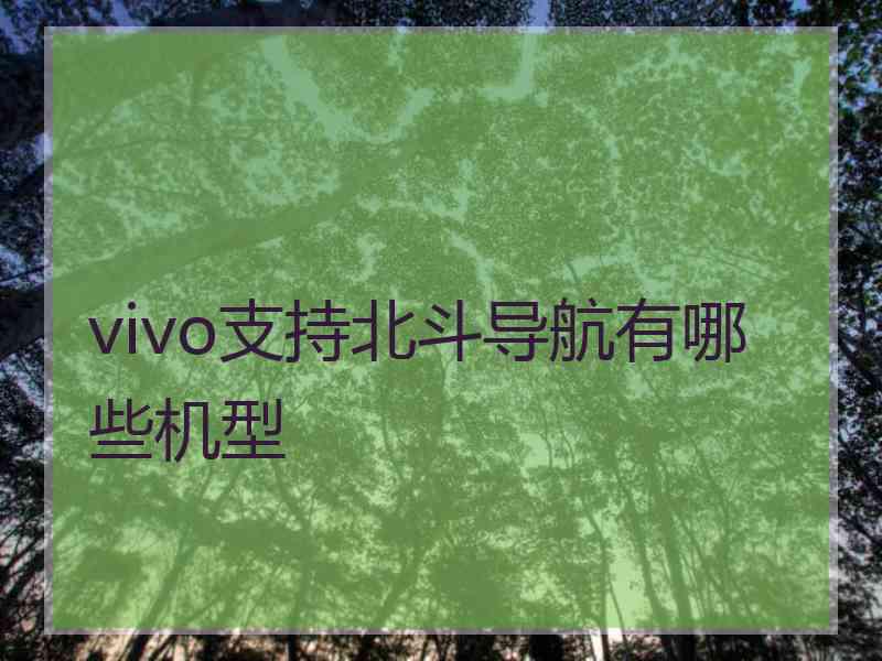 vivo支持北斗导航有哪些机型