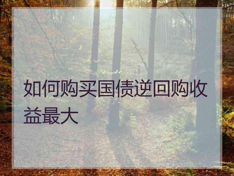 如何购买国债逆回购收益最大