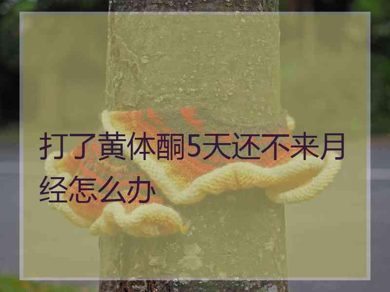 打了黄体酮5天还不来月经怎么办
