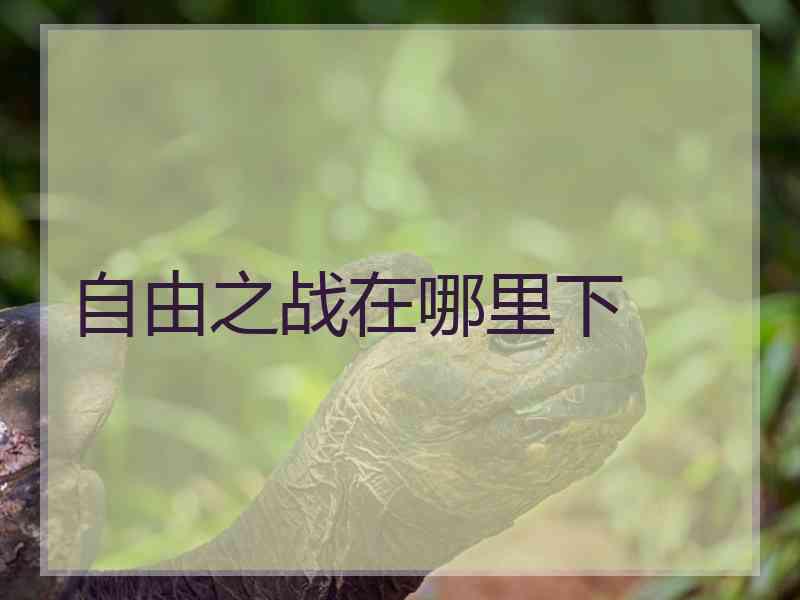自由之战在哪里下