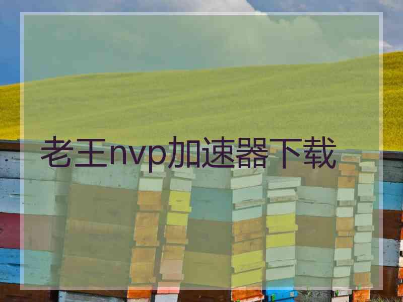 老王nvp加速器下载