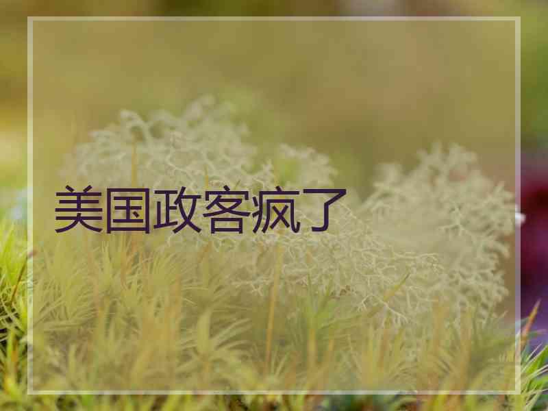 美国政客疯了