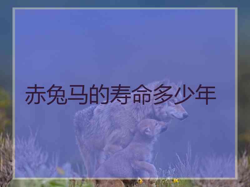 赤兔马的寿命多少年