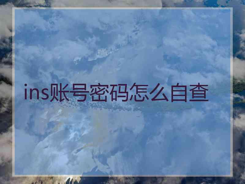 ins账号密码怎么自查