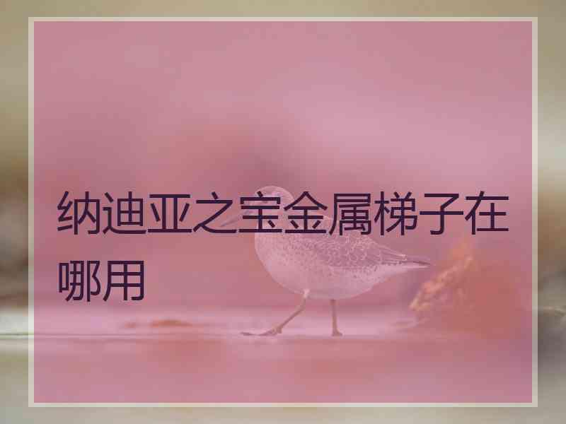 纳迪亚之宝金属梯子在哪用