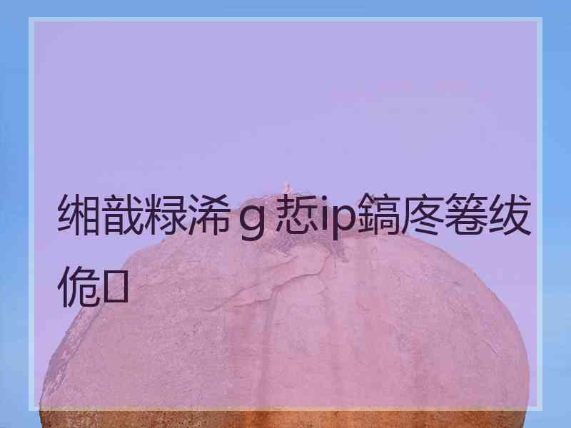 缃戠粶浠ｇ悊ip鎬庝箞绂佹