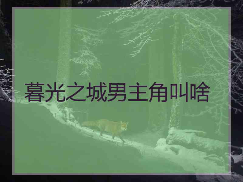 暮光之城男主角叫啥