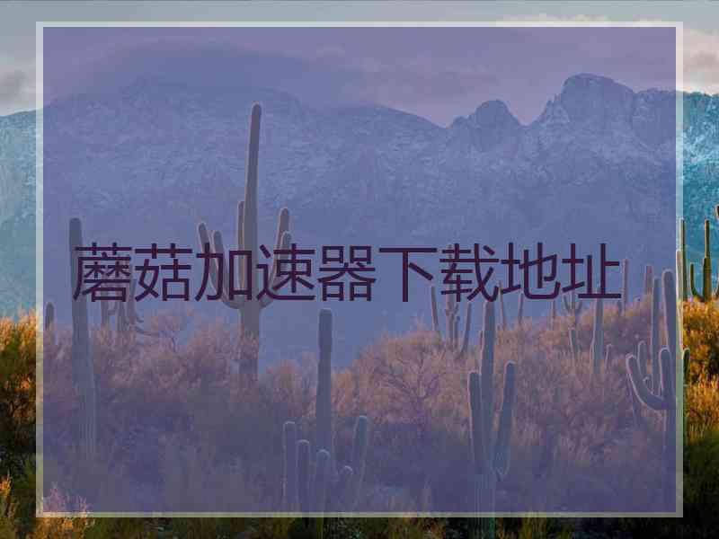 蘑菇加速器下载地址