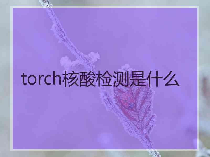 torch核酸检测是什么