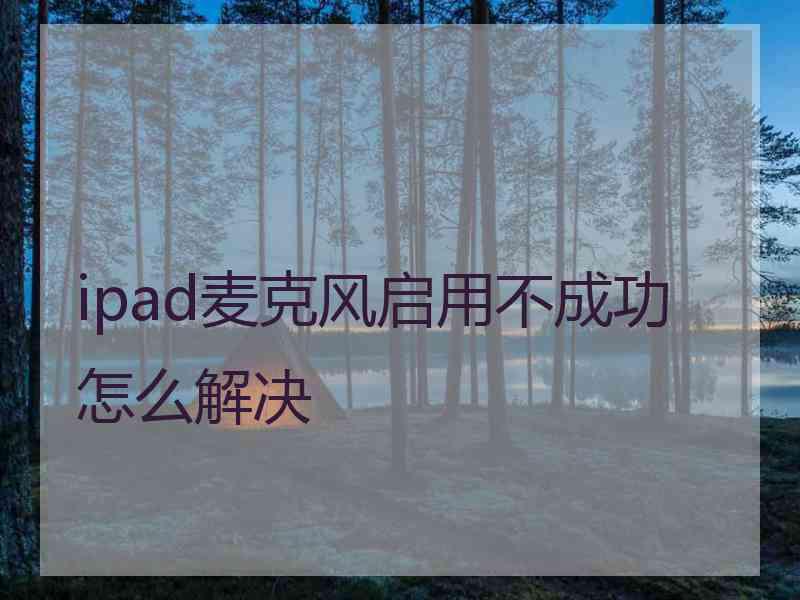 ipad麦克风启用不成功怎么解决