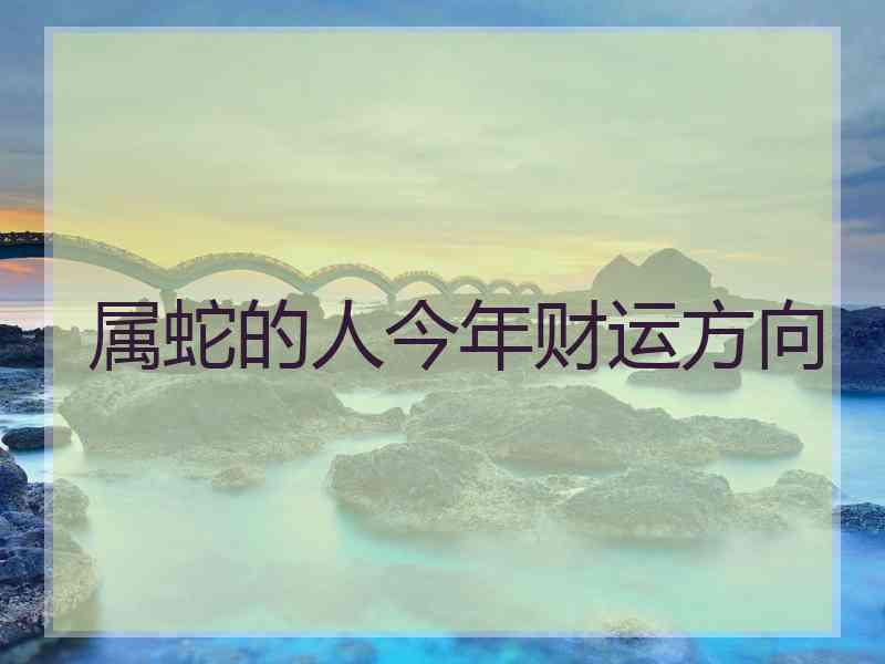 属蛇的人今年财运方向