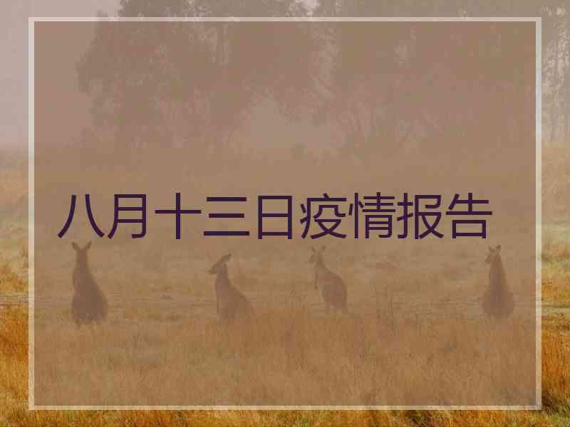 八月十三日疫情报告