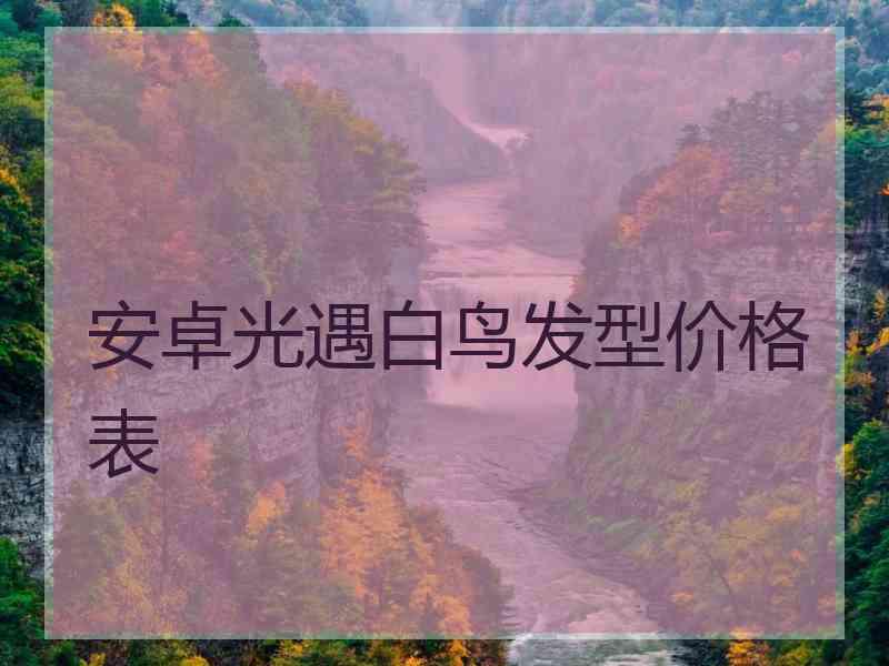 安卓光遇白鸟发型价格表