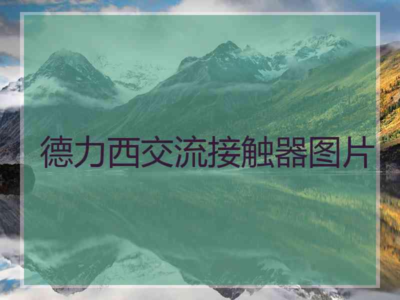 德力西交流接触器图片