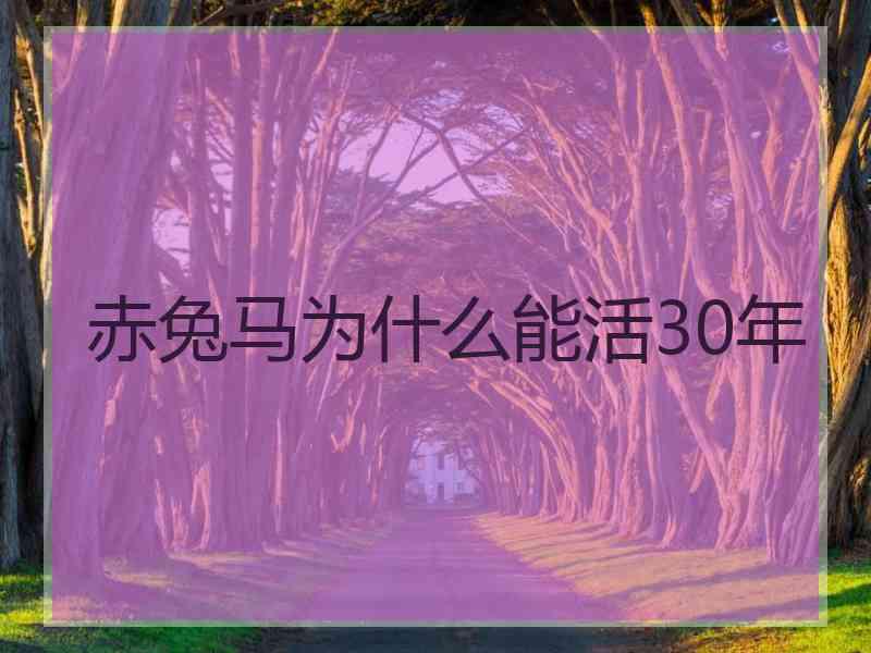 赤兔马为什么能活30年
