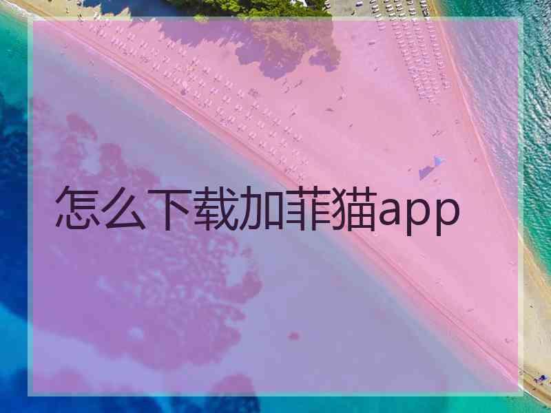 怎么下载加菲猫app