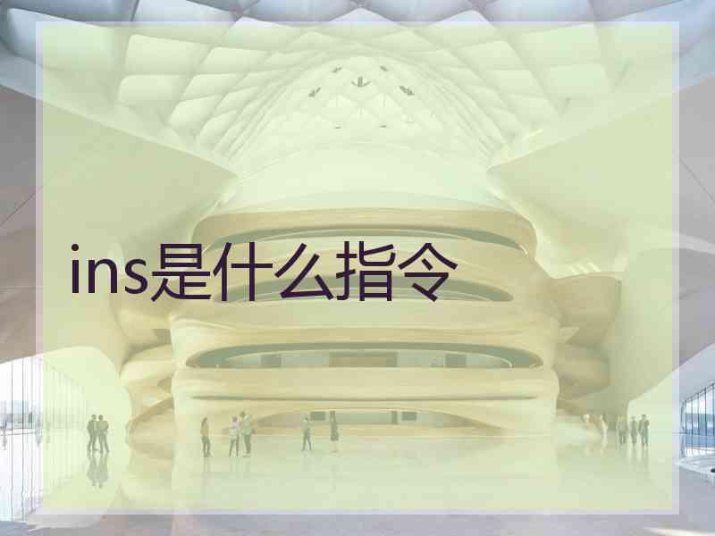 ins是什么指令