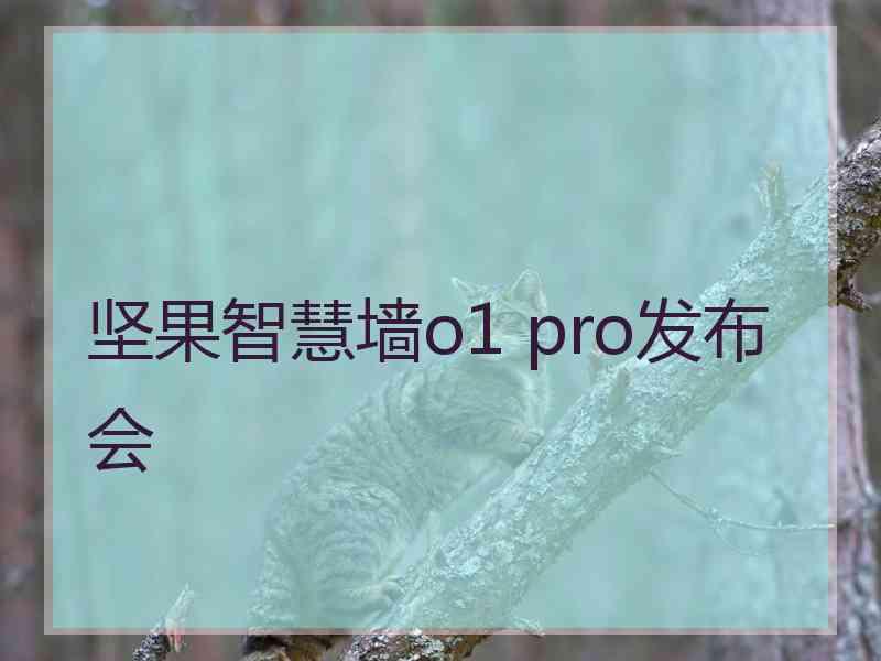 坚果智慧墙o1 pro发布会