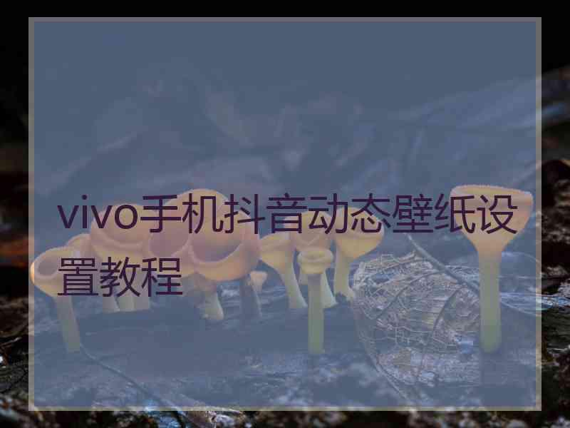 vivo手机抖音动态壁纸设置教程