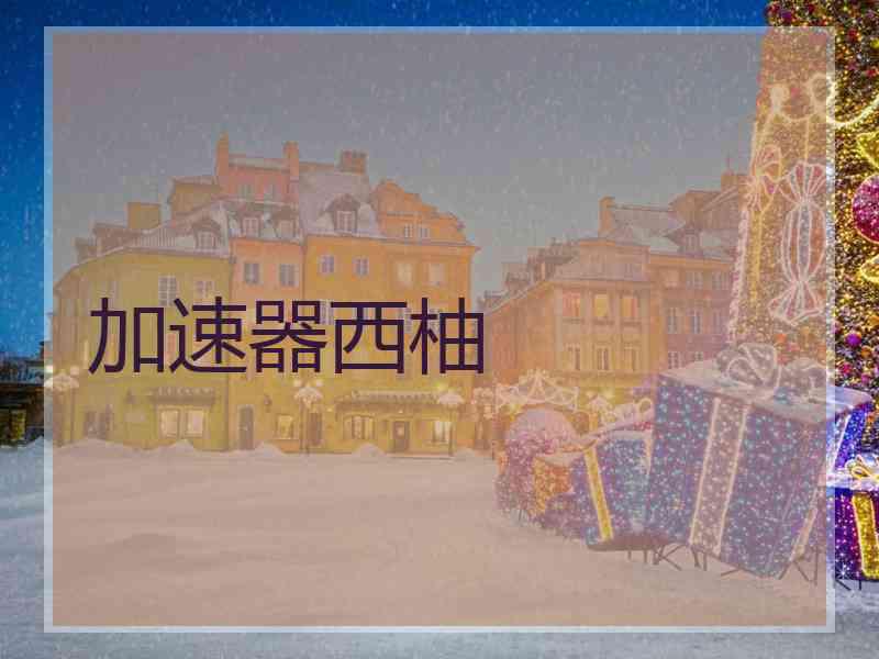 加速器西柚