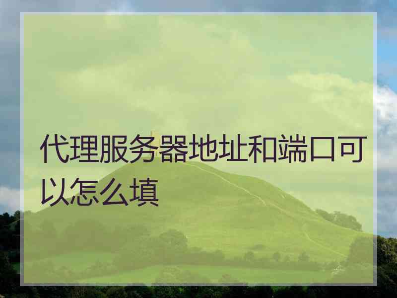 代理服务器地址和端口可以怎么填