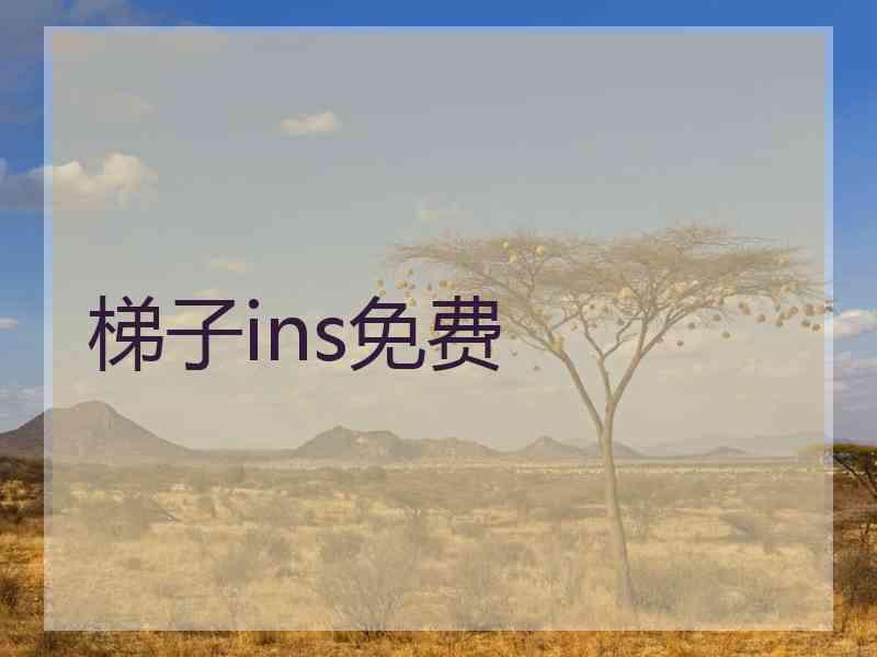 梯子ins免费