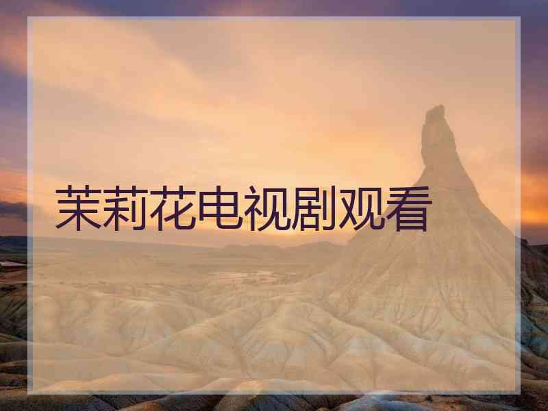 茉莉花电视剧观看