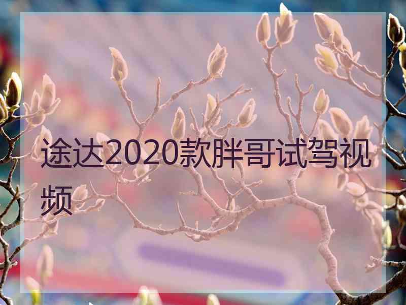 途达2020款胖哥试驾视频