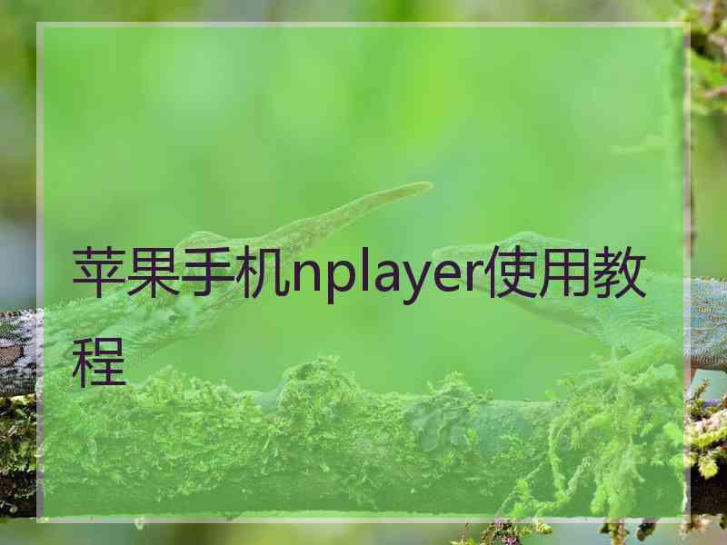 苹果手机nplayer使用教程