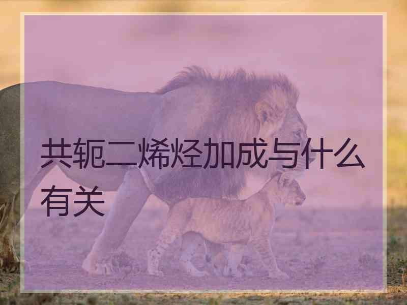 共轭二烯烃加成与什么有关