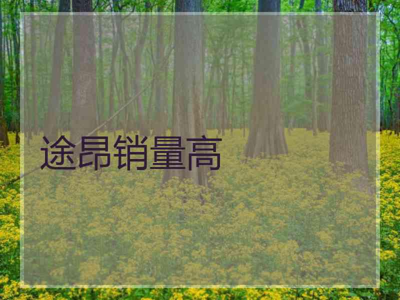 途昂销量高