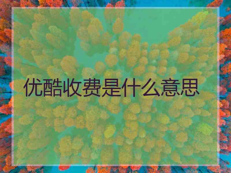 优酷收费是什么意思