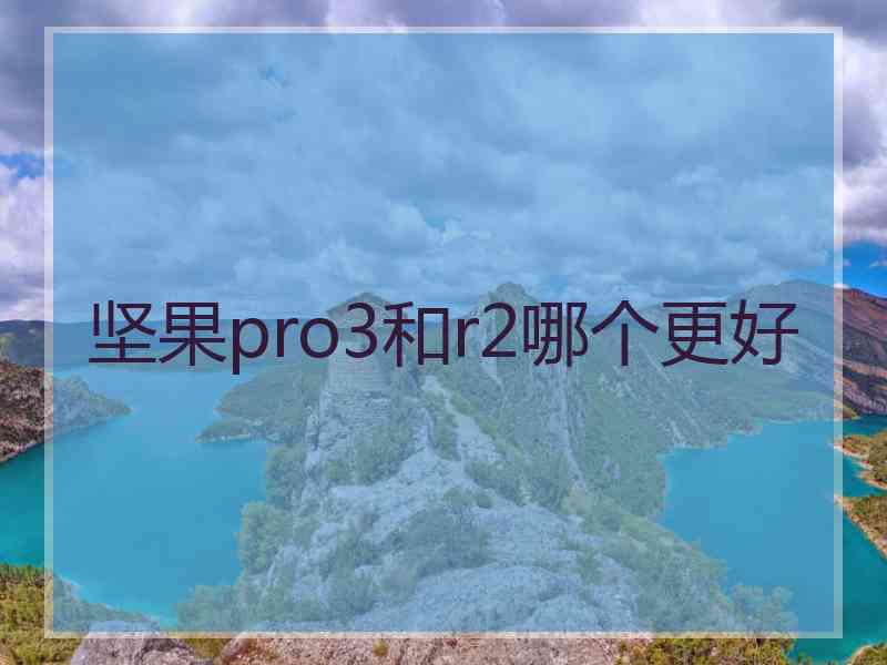坚果pro3和r2哪个更好