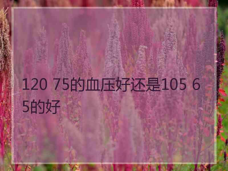 120 75的血压好还是105 65的好