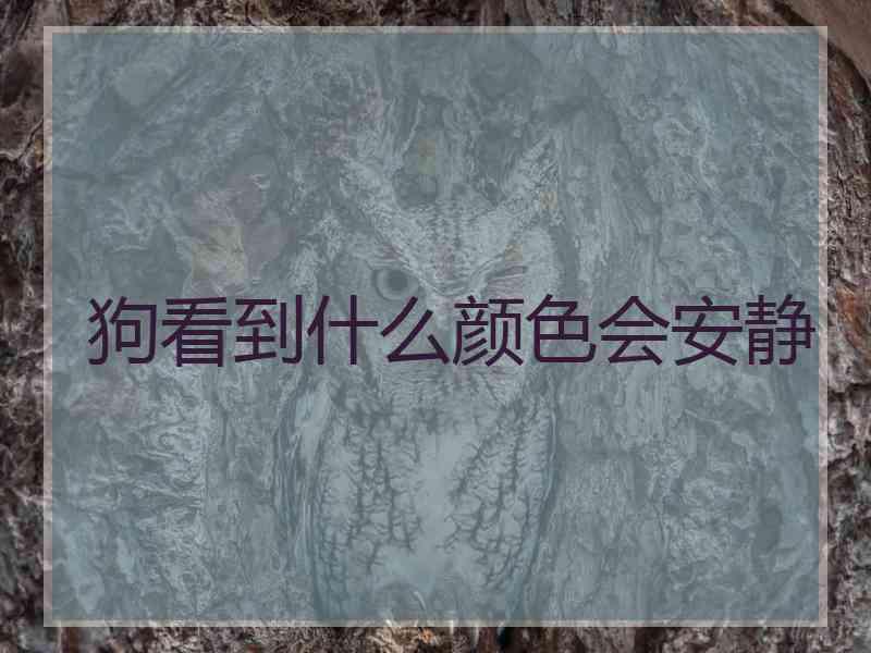 狗看到什么颜色会安静