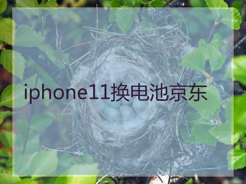 iphone11换电池京东