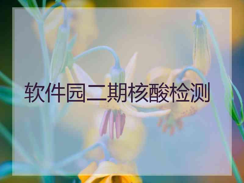 软件园二期核酸检测