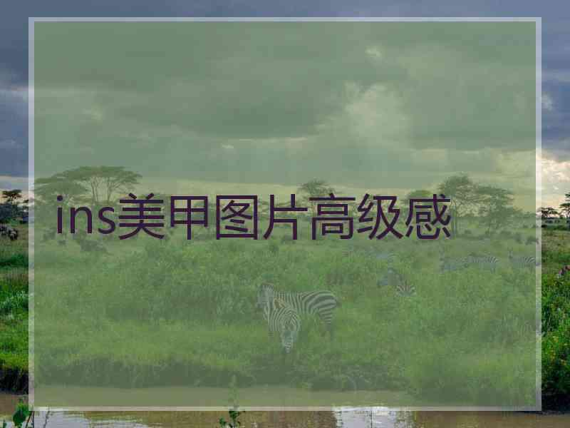 ins美甲图片高级感