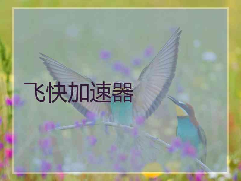 飞快加速器