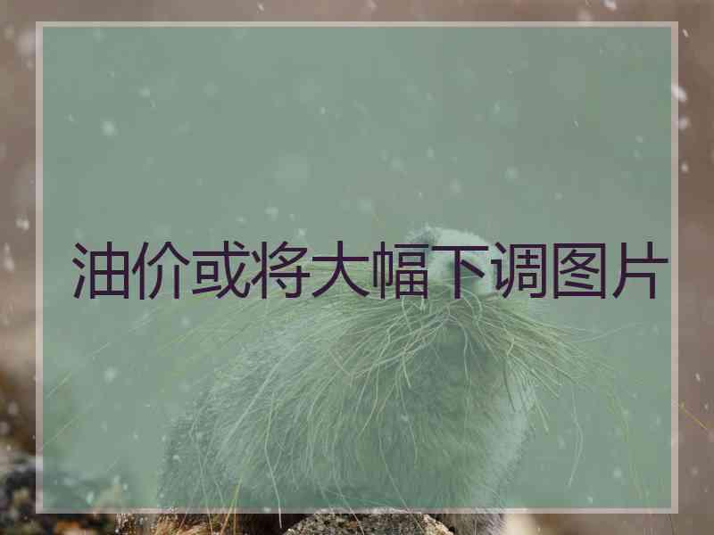 油价或将大幅下调图片