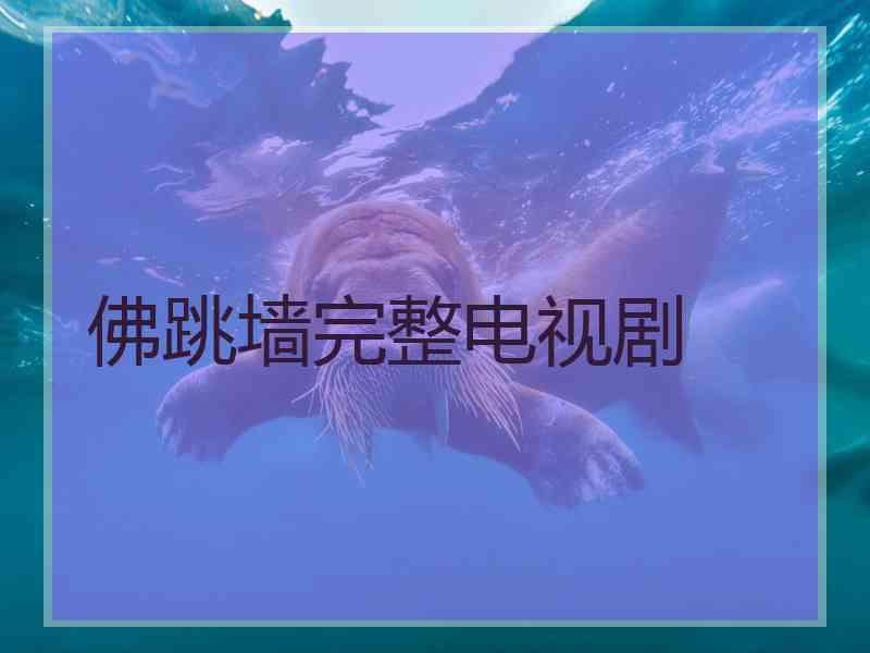 佛跳墙完整电视剧