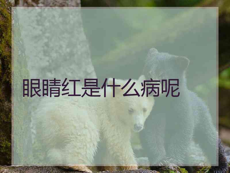 眼睛红是什么病呢