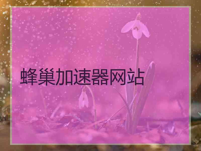 蜂巢加速器网站