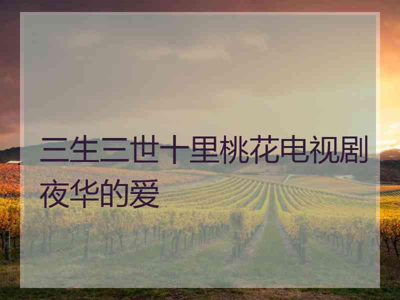 三生三世十里桃花电视剧夜华的爱
