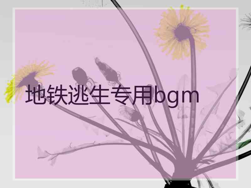地铁逃生专用bgm