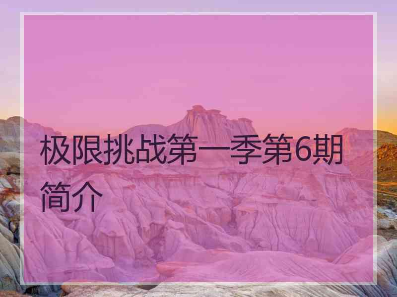 极限挑战第一季第6期简介