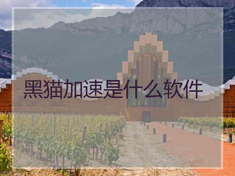 黑猫加速是什么软件